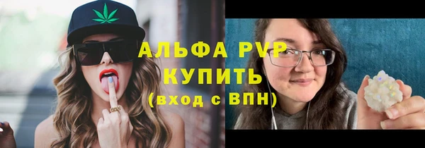 стаф Волоколамск