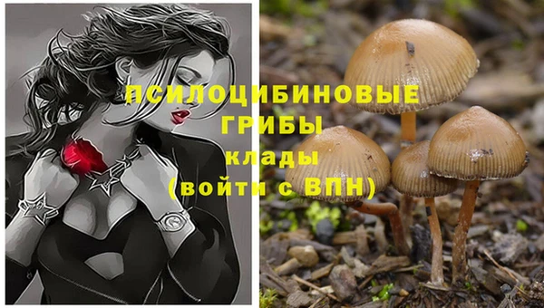 мдпв Бугульма