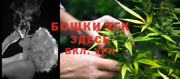 мдпв Бугульма