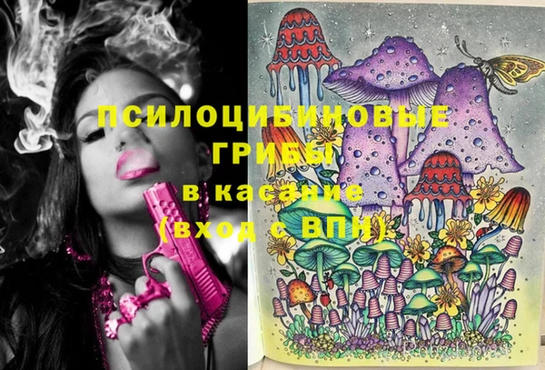 мдпв Бугульма