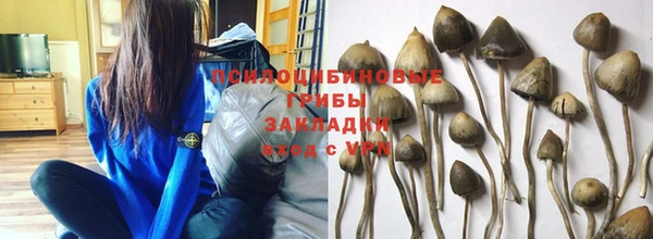 мдпв Бугульма