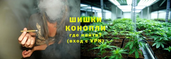 mdpv Бородино