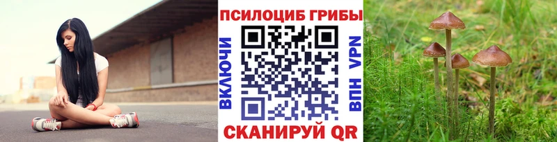 Галлюциногенные грибы мицелий  Вытегра 